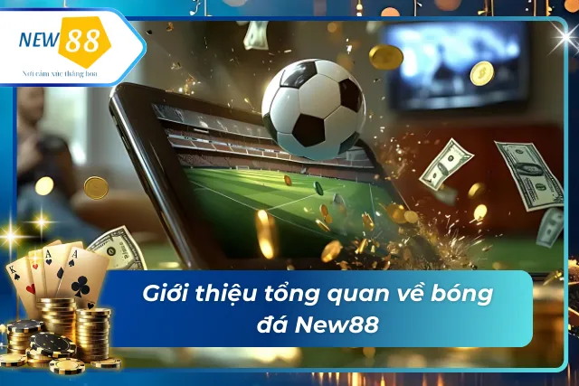 Khái quát về bóng đá tại New88 - Điểm đến hấp dẫn nhất tại New88
