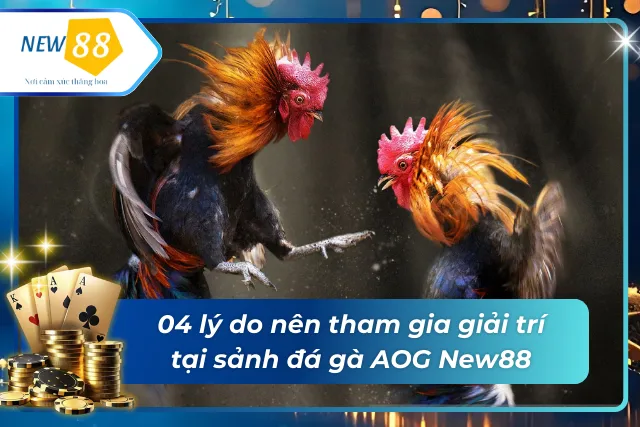 Lý do nên tham gia giải trí tại sảnh đá gà AOG New88