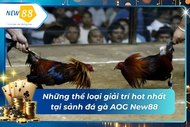 Những thể loại giải trí hot nhất tại đá gà AOG New88