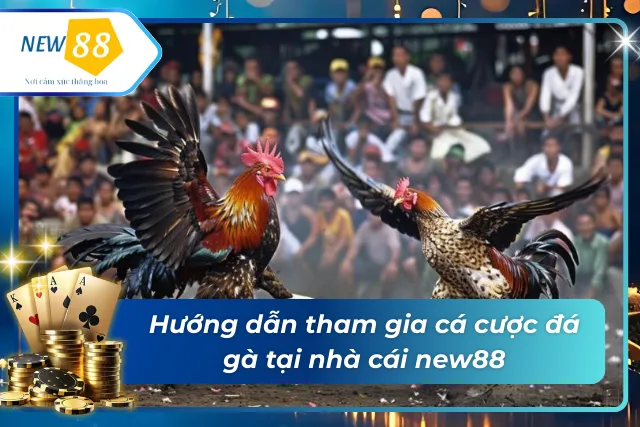 Hướng dẫn nhanh cách tham gia