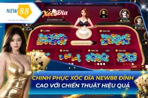 Xóc Đĩa New88